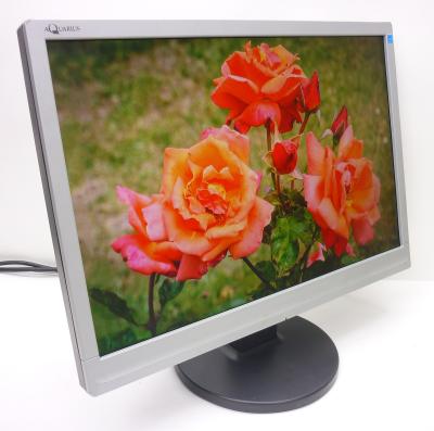 Монитор 19" Aquarius TF1910W 1440x900 (16:10), TN, 300 кд/м2, 1000:1, 5 мс, 160°/160°, VGA, колонки