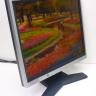 Монитор 17" NEC MultiSync LCD1704M