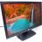 Монитор 21.5" HP ProDisplay P221 засвет