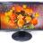 Монитор 18.5" BenQ GL950A царапины