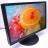 Монитор 24" Nec EA241WM-BK